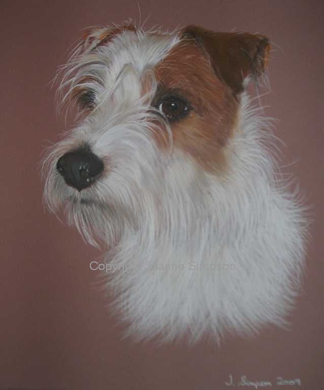 Terrier pet portrait by Joanne Simpson